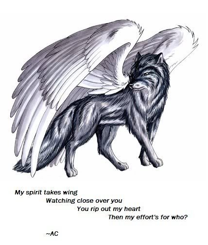 winged wolf Pictures, Images and Photos