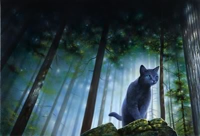 BlueStar Pictures, Images and Photos