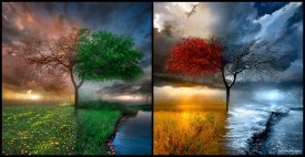 Seasons