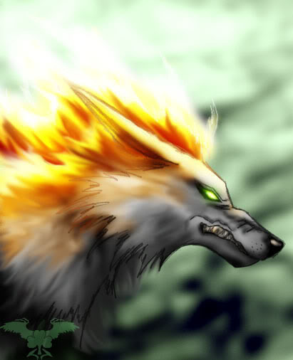 Fire wolf Pictures, Images and Photos