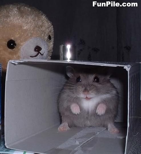 Hamtaro Pictures, Images and Photos