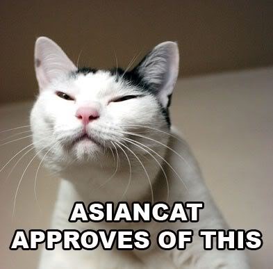 asiancat Pictures, Images and Photos