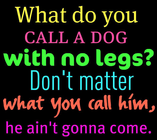 FUNNY QUOTE. Pictures, Images and Photos