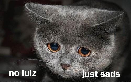 No lulz just sad LOLcats