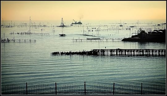 dotted lines Pictures, Images and Photos