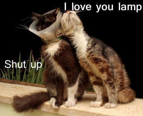 i <3 Lamp