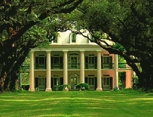 plantation