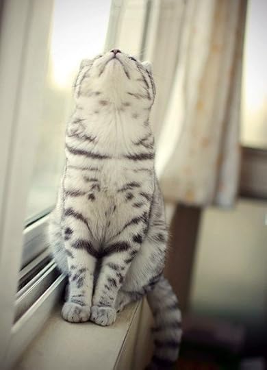  photo HLOUaFrqRE8_large.jpg