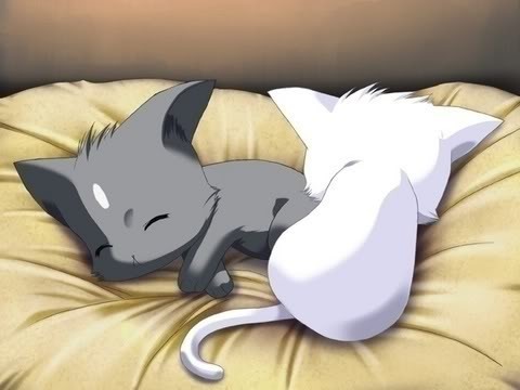 kitten anime Pictures, Images and Photos