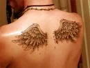 Angel Pictures, Images and Photos