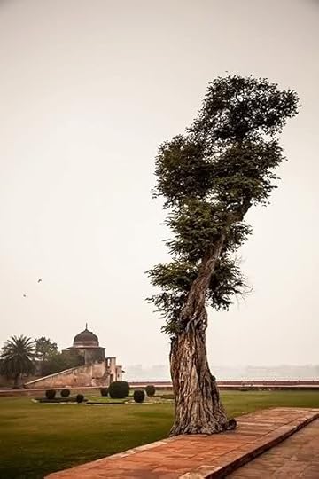 Image and video hosting by TinyPic