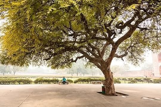 Image and video hosting by TinyPic