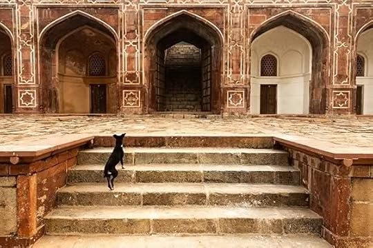 Image and video hosting by TinyPic