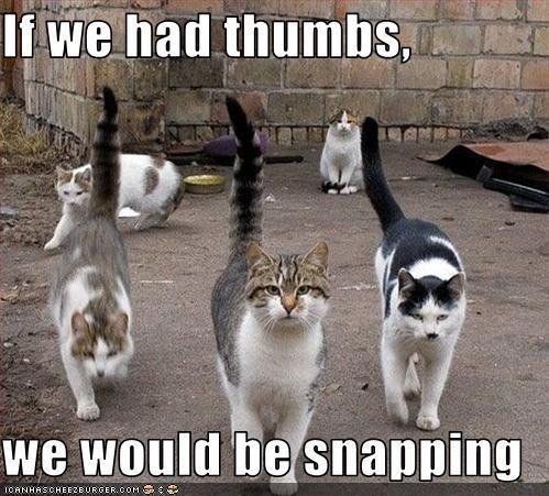 If we had thumbs, we would be snapping