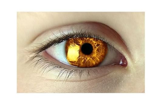 golden eyes Pictures, Images and Photos