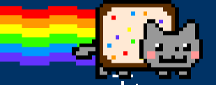 My Own Costimuzed Nyan Cat Pictures, Images and Photos