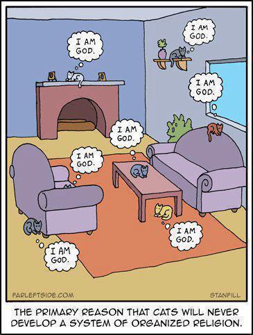  photo 527607_481552451870187_518892756_n.jpg