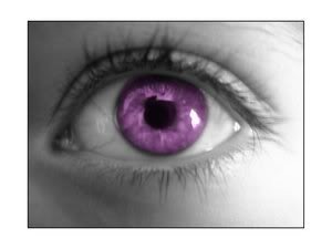 purple eye Pictures, Images and Photos