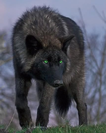 Photobucket Pictures, Images and Photos