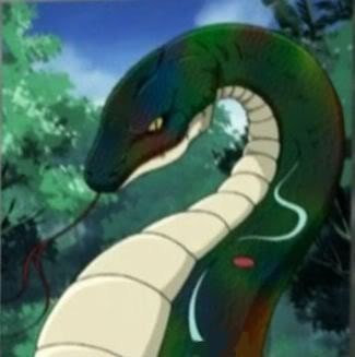 Rainbow Snake Eingana Pictures, Images and Photos