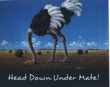 ostrich