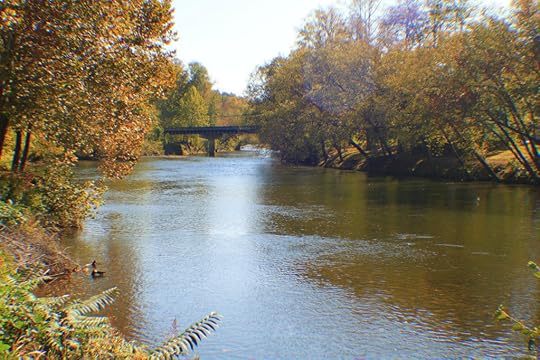 The river Pictures, Images and Photos