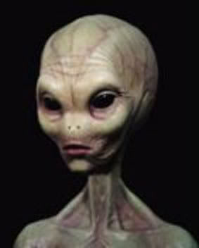 Alien Grey Pictures, Images and Photos