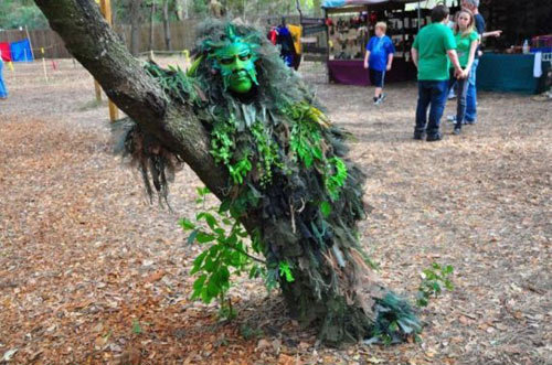 wtf-pics-trust-the-tree_zps9849cae3