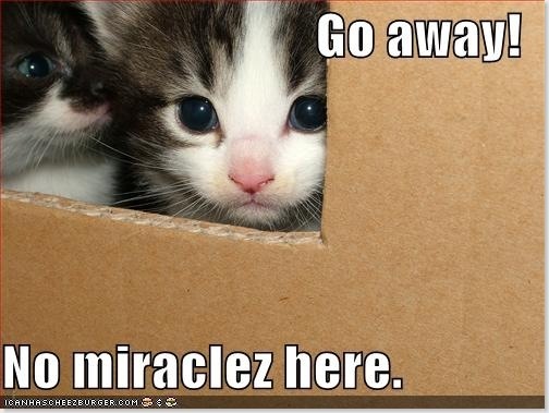 Image and video hosting by TinyPic