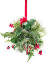 mistletoe-thumb1276103100