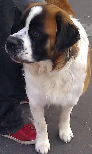 Uploaded from the Photobucket Android App