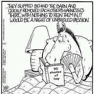 50 Shades of Hay