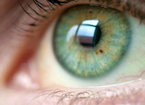 Tumblr_m37v07l2fa1qgk0g0o1_500_large