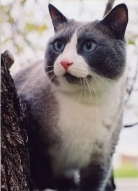 McCartney photo Beautiful.jpg