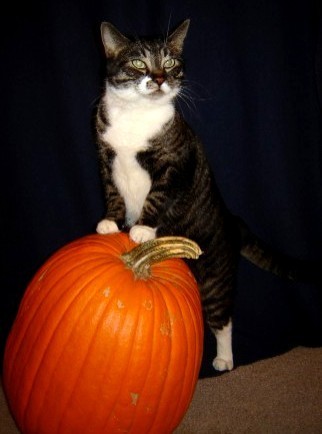 Spirit Pumpkin 2007 photo SpiritPumpkin2007.jpg