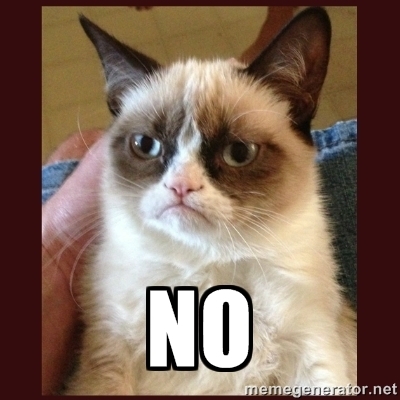 Tard the Grumpy Cat - No