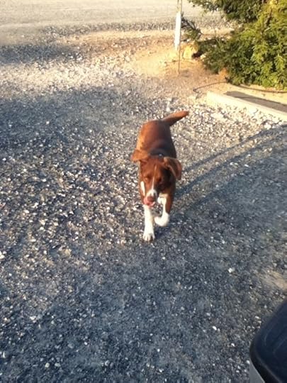  photo 1AB9AC98-620E-4EC3-9441-C391603A2EA0-774-00000121C77EA40A_zpsed59659d.jpg