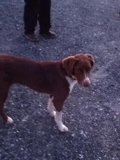  photo 8CB8E7C2-8508-42EB-9AA8-B6AB0E85B517-774-00000121C9D9476D_zps9badb22f.jpg