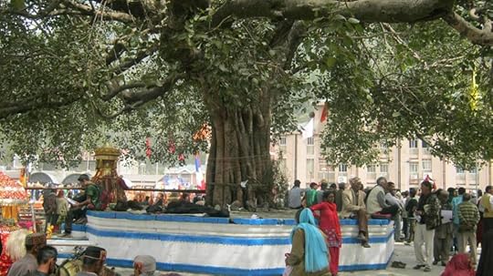 Mandi Shiv Ratri