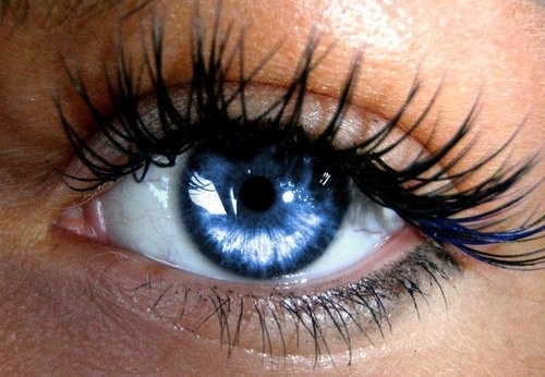  photo BlueEye2_zps5b6573f6.jpg