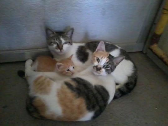  photo 2013-01-03151807_zps6e9373f2.jpg