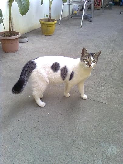  photo Image0141_zps09091459.jpg