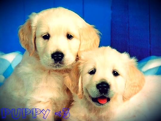 puppies photo: Puppies Puppies.jpg