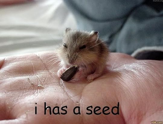 cute baby animals photo: seed.jpg