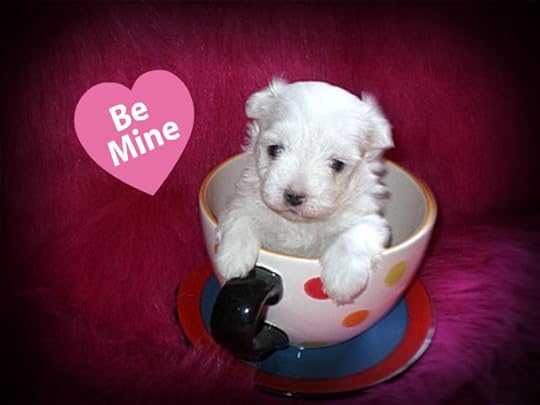 tiny puppies photo: P7260630-2.jpg