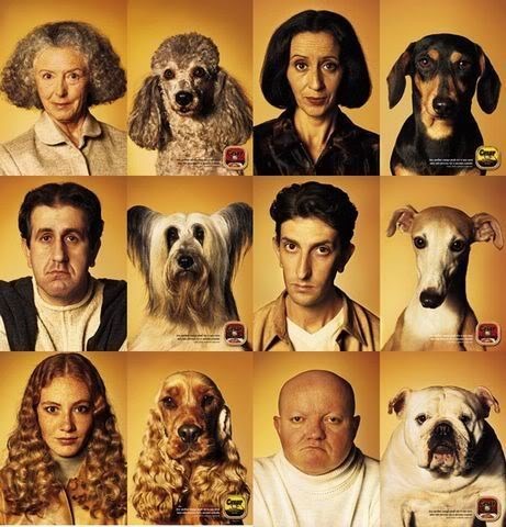 cute dogs photo: dogs dogs.jpg