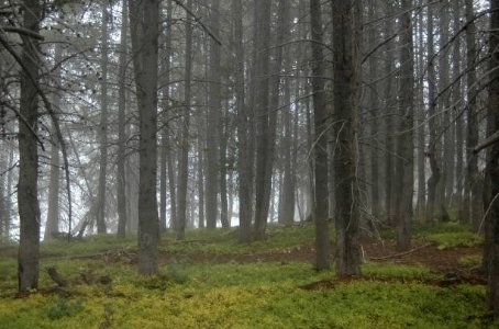  photo e6a7713d-1191-4c2f-91c9-43aeb314c9c7.jpg