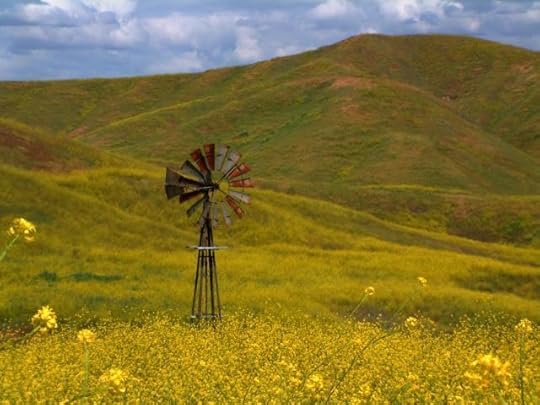  photo 71354_13201082546AM38425.jpg