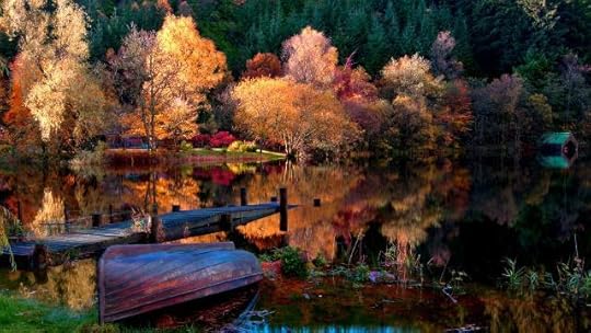  photo The-autumn-lake-forest-morning_1920x1080.jpg