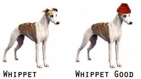 Whip It